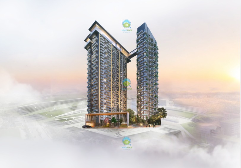 Apex D'RIO by HousEdge