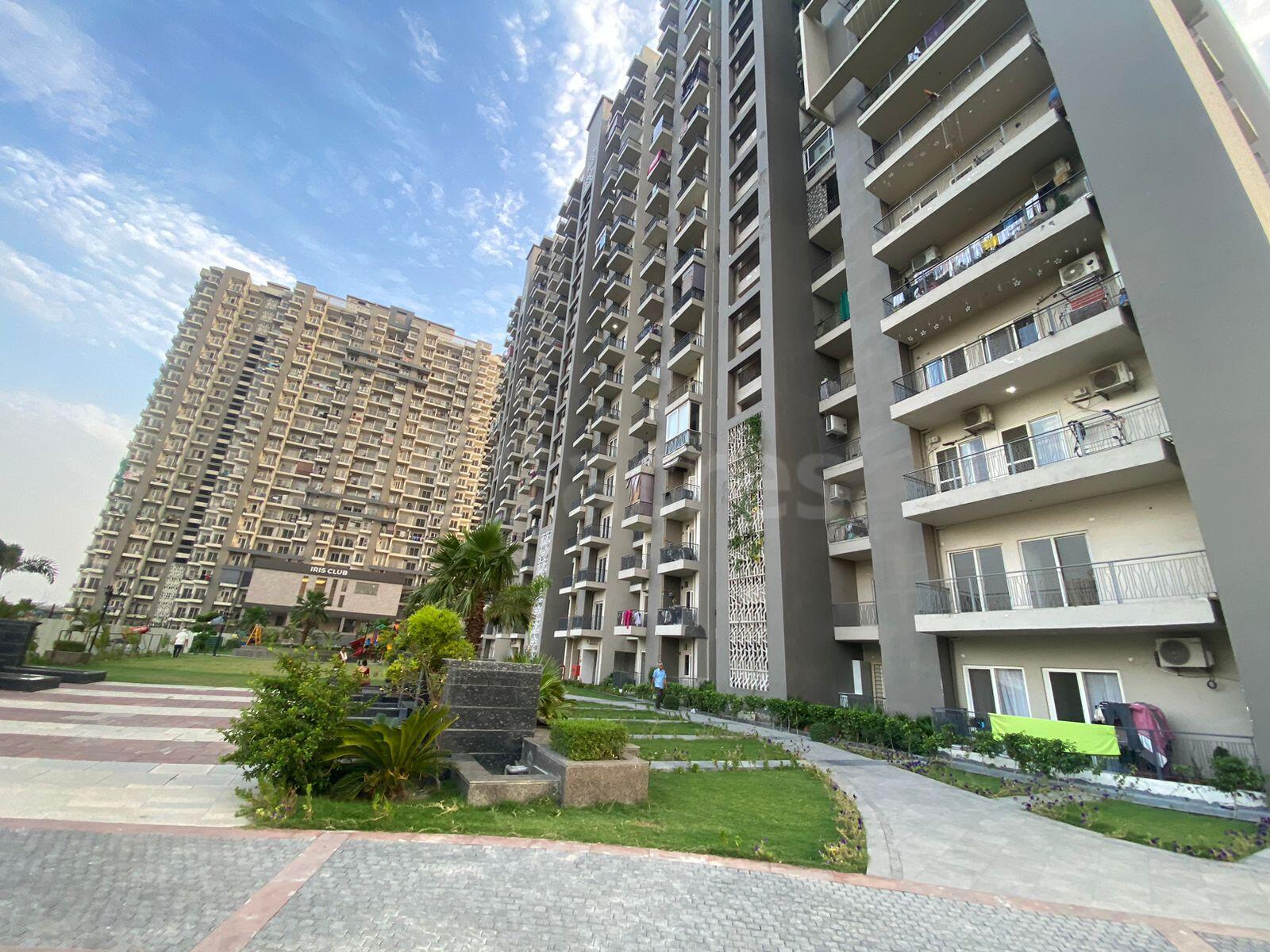 Truvae Fragrance Homes