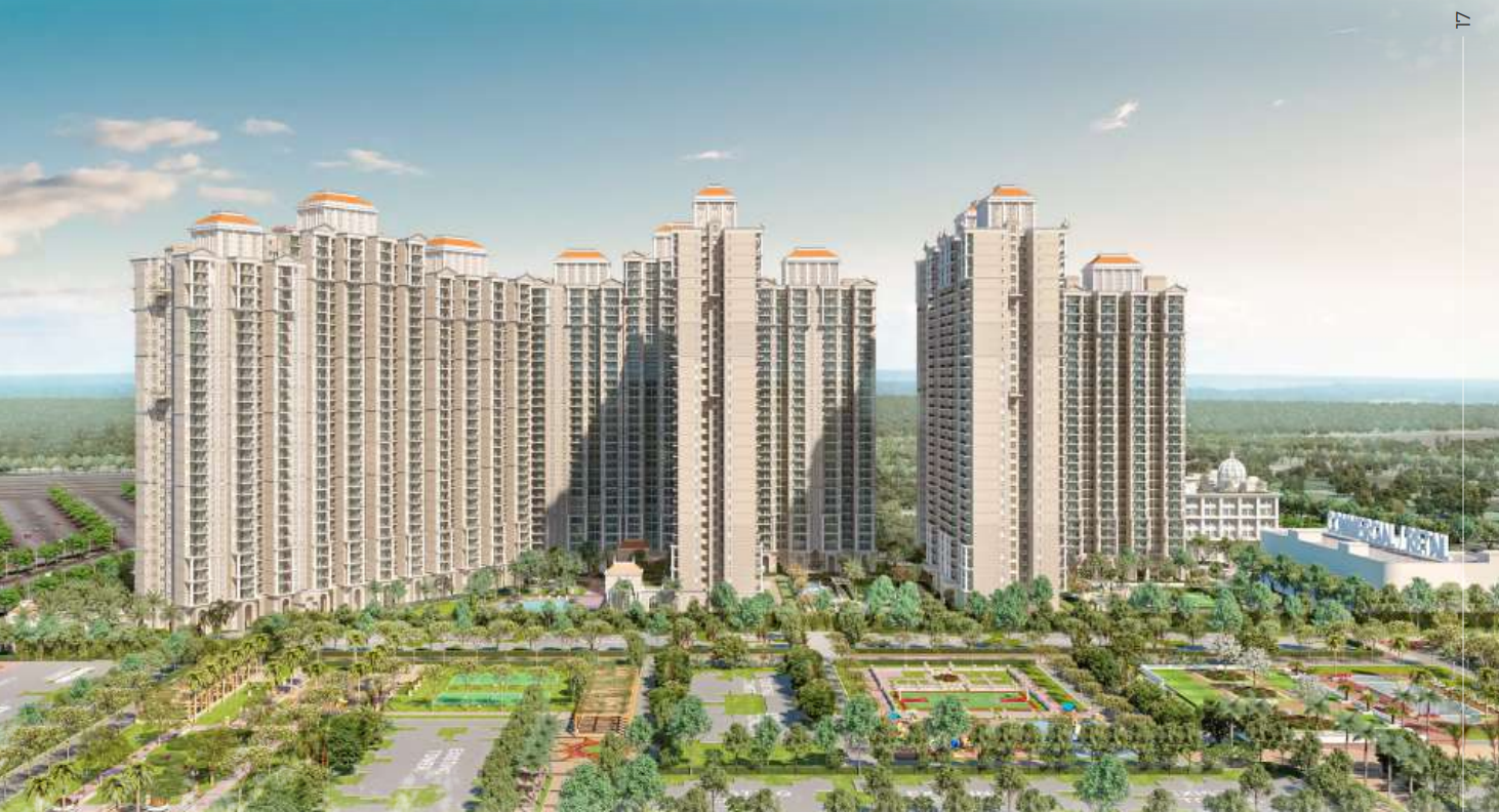 Prateek Grand Begonia